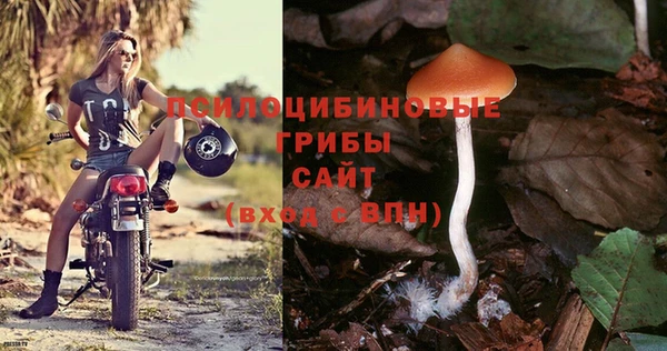 MDMA Premium VHQ Чердынь