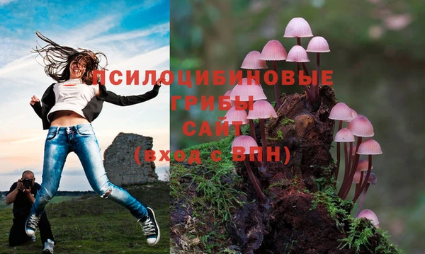 марки lsd Чегем