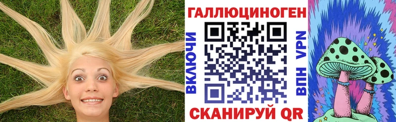 как найти наркотики  Кочубеевское  Галлюциногенные грибы GOLDEN TEACHER 