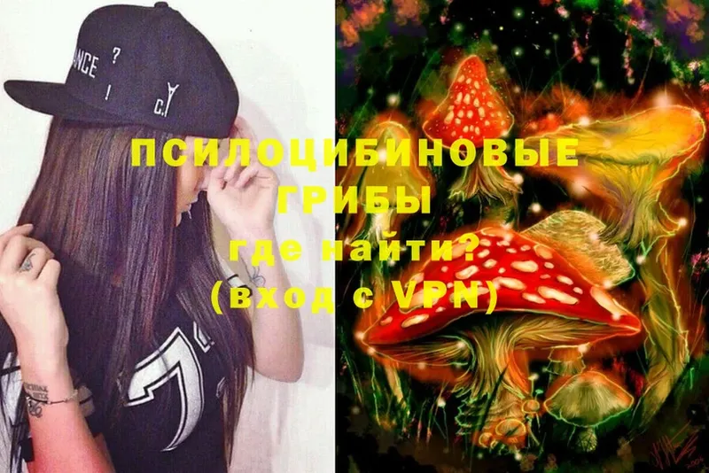 ОМГ ОМГ сайт  Кочубеевское  Псилоцибиновые грибы Psilocybe 